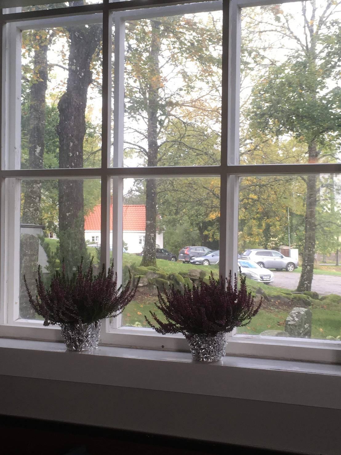 Høstlyng i vinduene