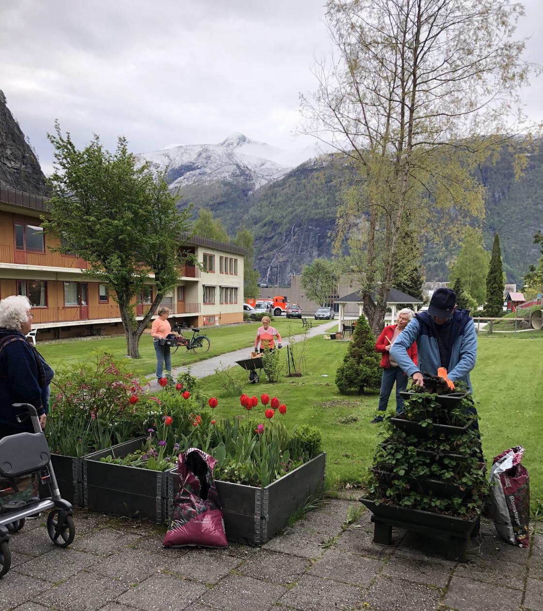 Her blir jordbærpyramiden frisert etter alle kunstens reglar! Blomstra alt!