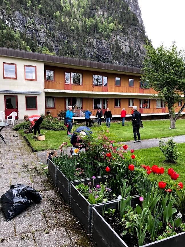 Mykje bøy og tøy for stive ryggar og kne !