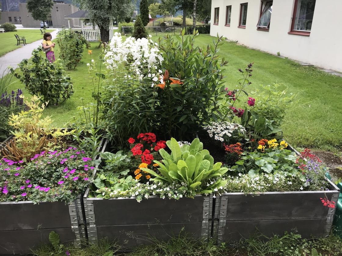 Mange ønsket å stille Havva Cukurkaya spørsmål. Her ved fylkesleder Bjørg Strømme i Hordaland Bygdekvinnelag. Foto: Helle Cecilie Berger.