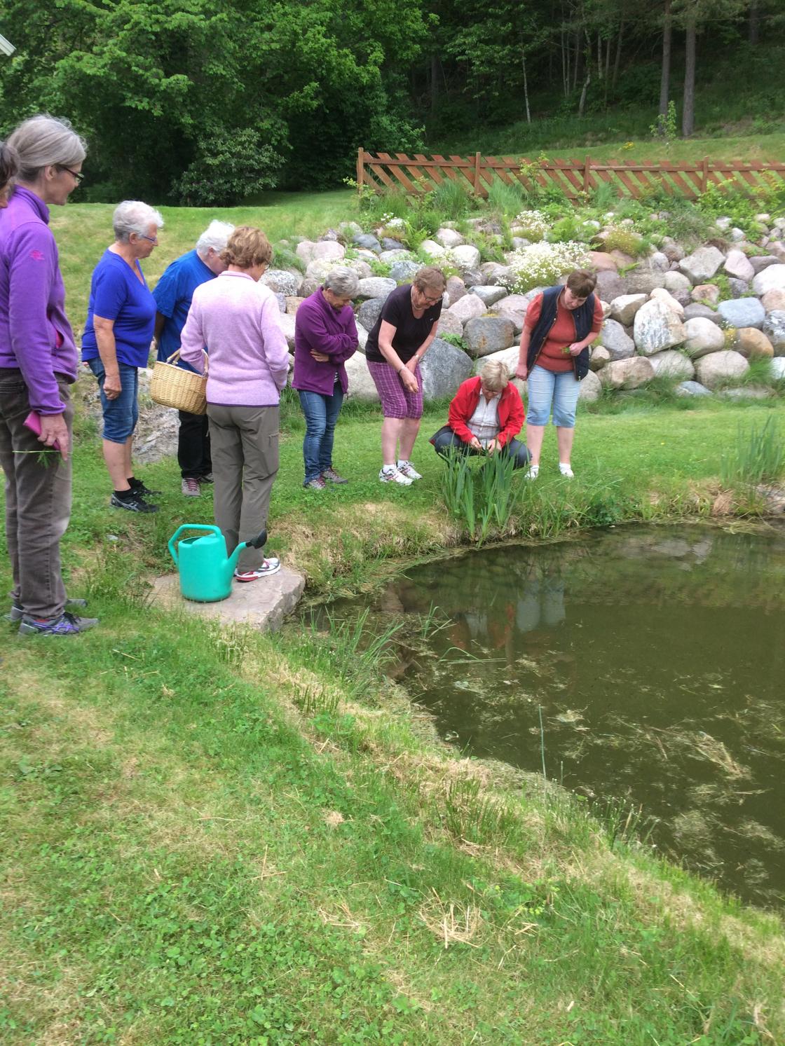 undervisning ved dammen