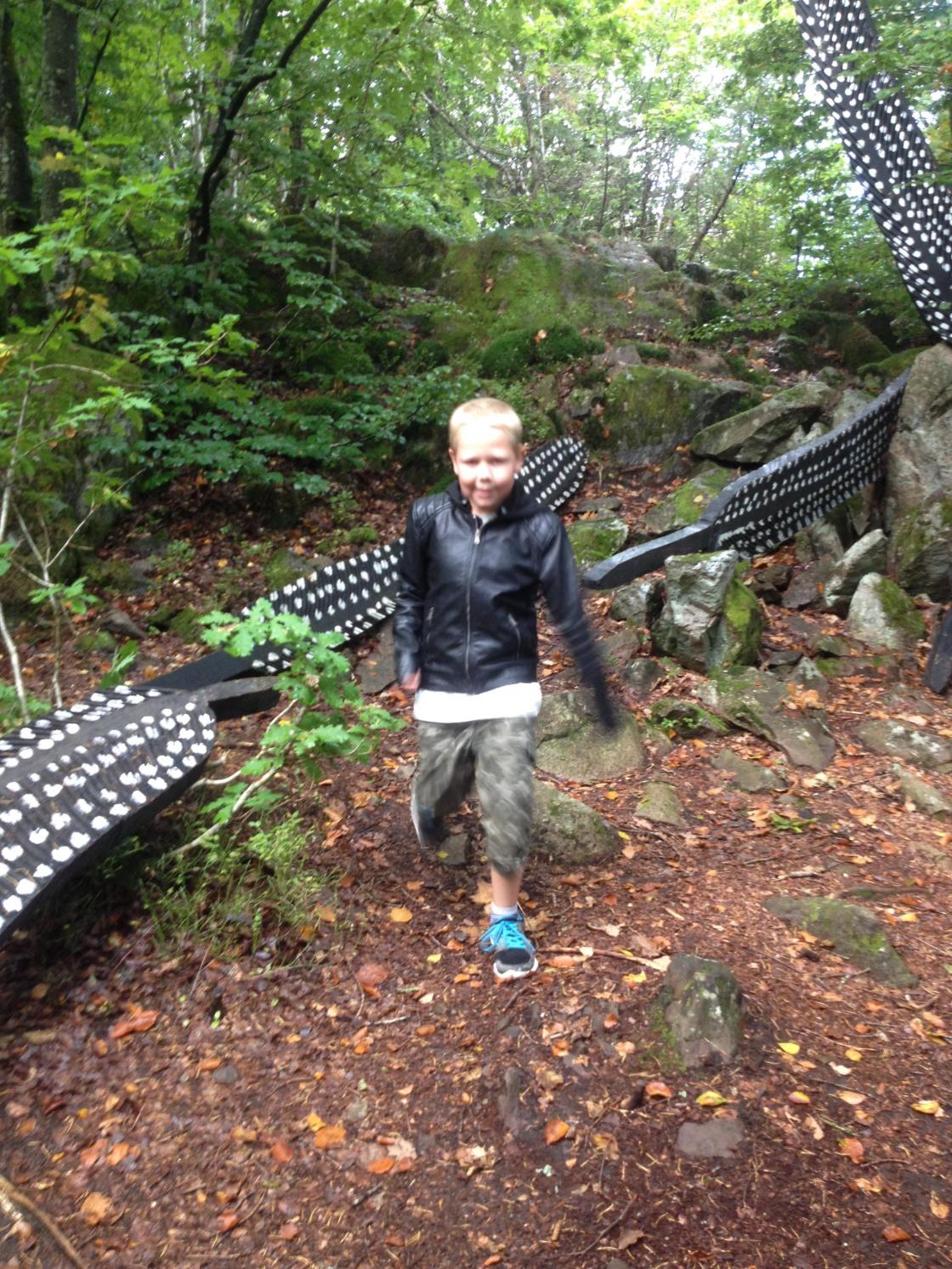 Fjær av Morten Juvet - og Troy!