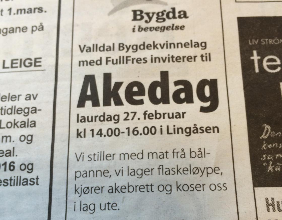 Populær aktivitet sjølv om veret ikkje var det beste.