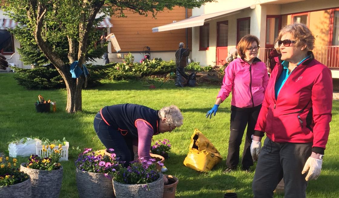 Planting i nye, fine krukker.