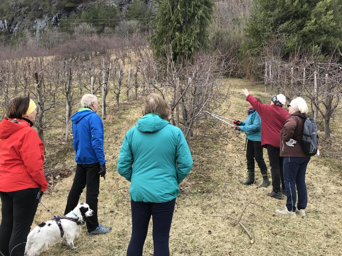Det var mange som prøvde å bli klok på beskjeringa. Ikkje lett!