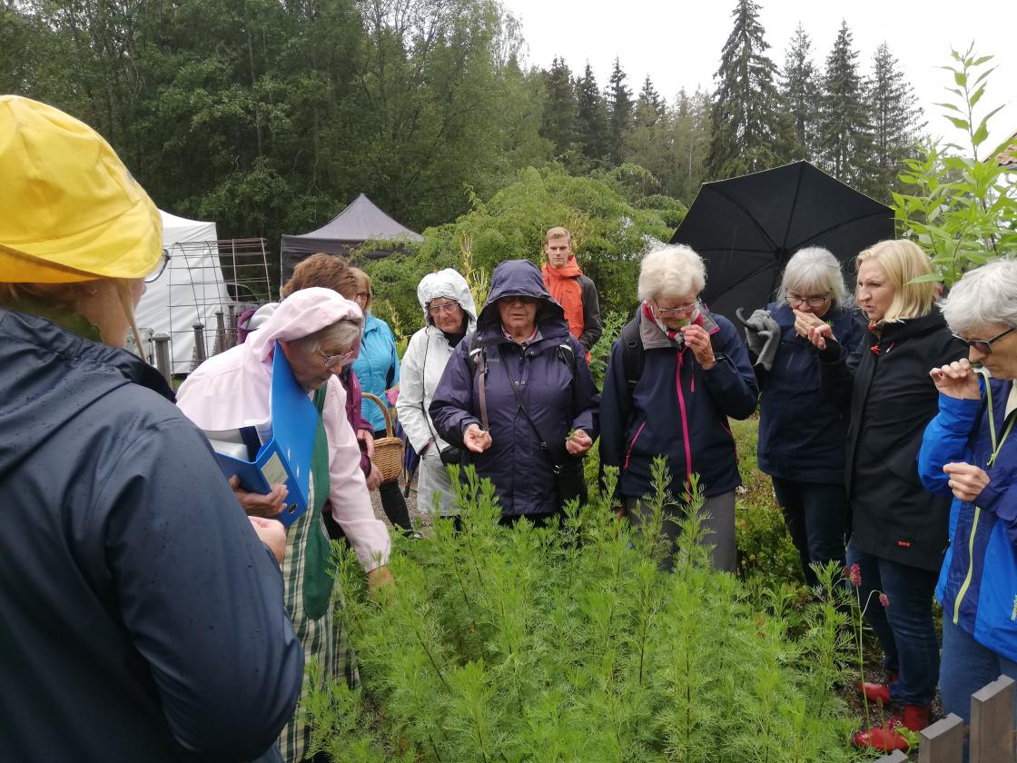Omvisning i Urtehagen ved Mimi Vooren og Trine Steen. Inneno å si på frammøte