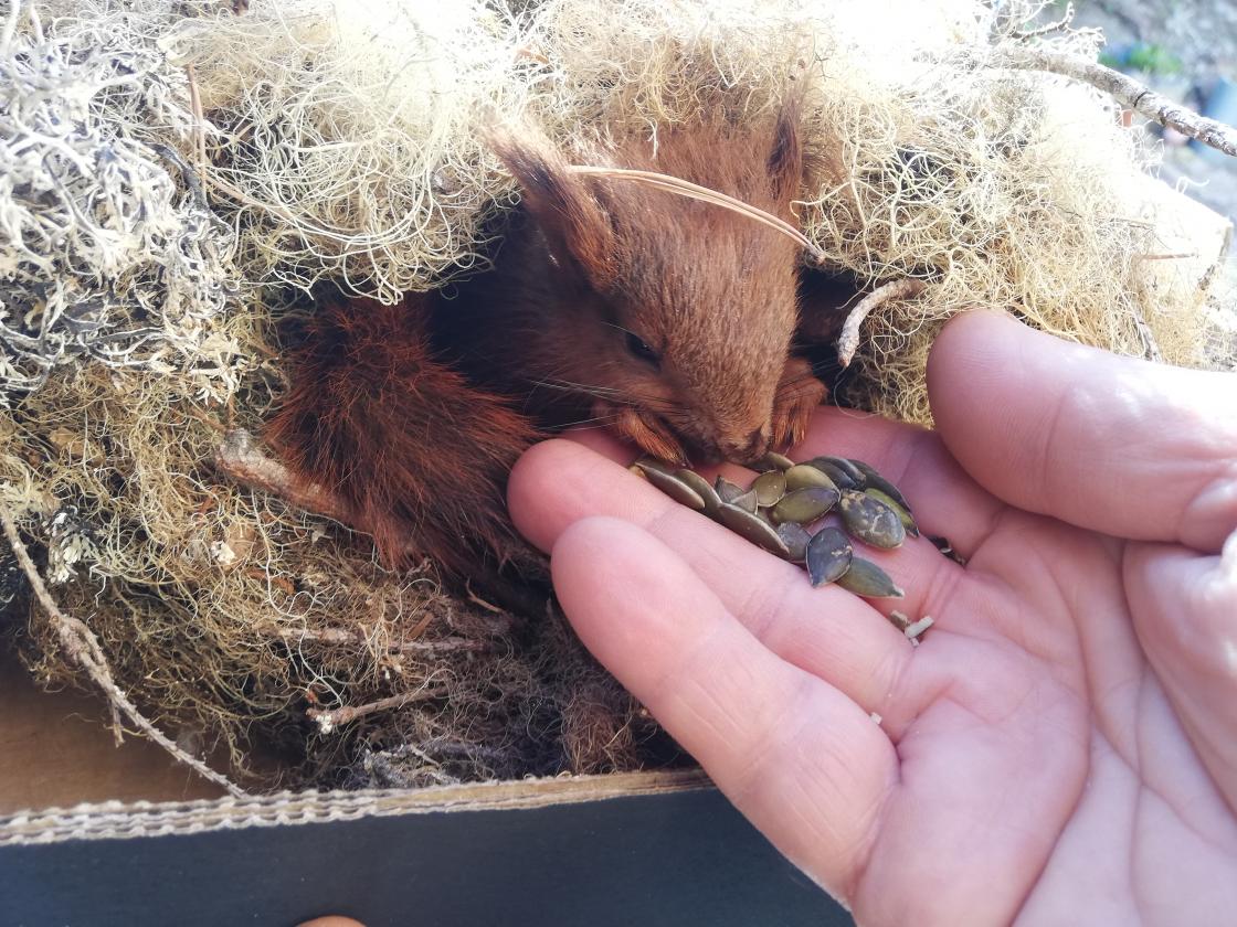 Litt ekstra omsorg i starten...