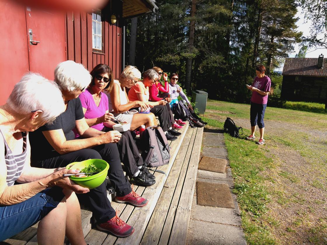 Sommertur &amp;quot;Bergstoppen rundt&amp;quot;