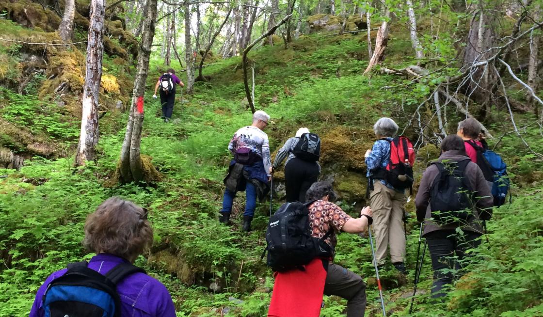 Bygda i bevegelse ! Her må alle krefter i sving !