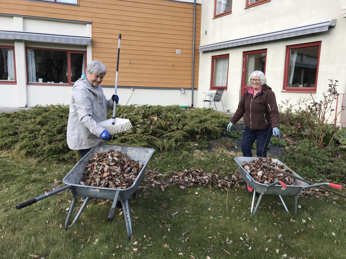Inghild og Anne fann litt av kvart og klipte rosetrea.