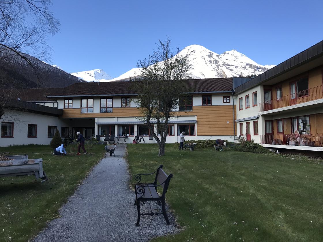 Bringebæra og dei andre bærbuskene fekk også stell.