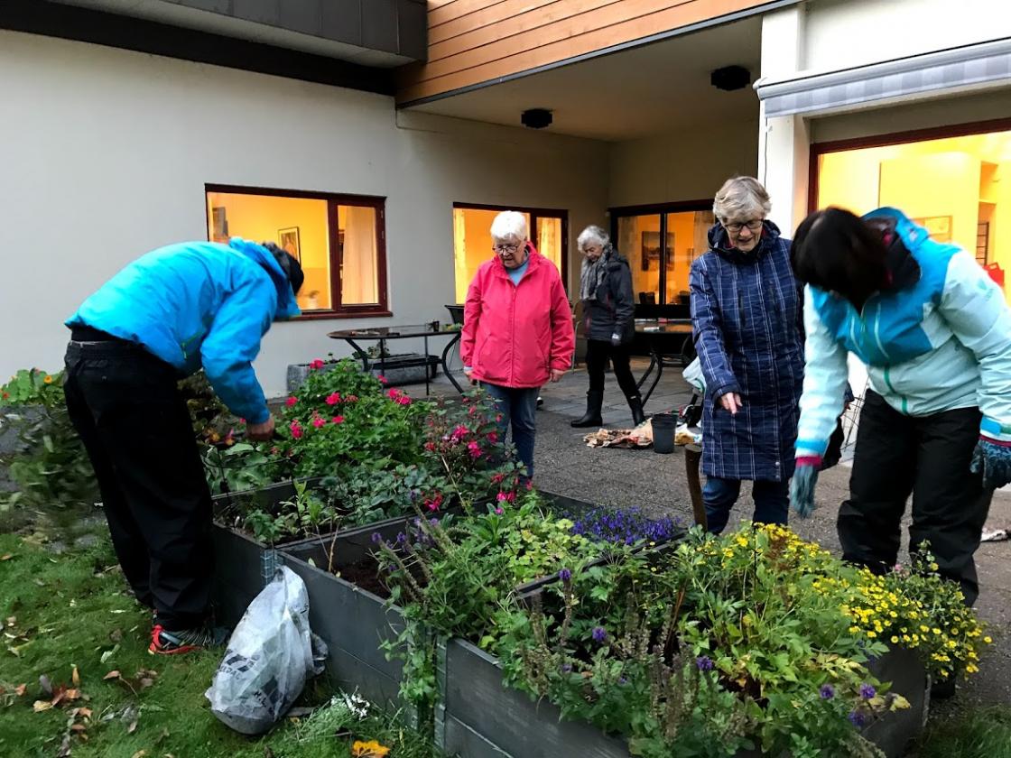 Haustdugnaden i full gang.