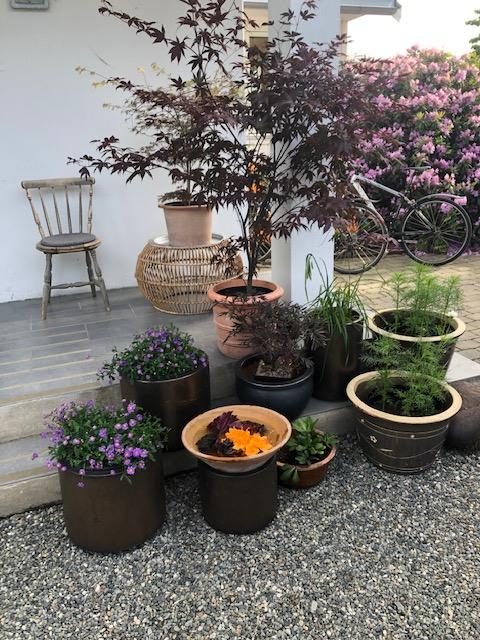 Fra inngangspartiet hos Heidi og Jostein - trivelig velkomst!