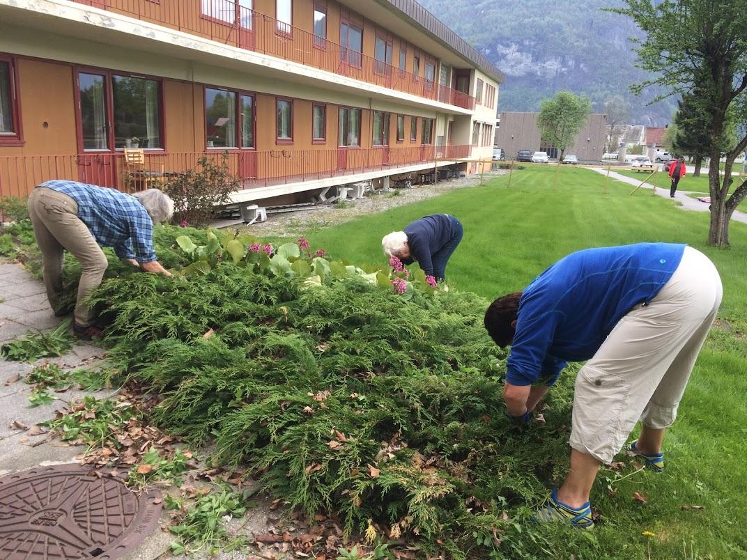 Skvalderkålet må gi tapt for desse damene!