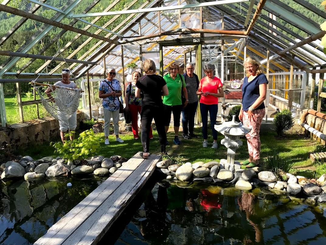 Dei fleste har balansert over brua !