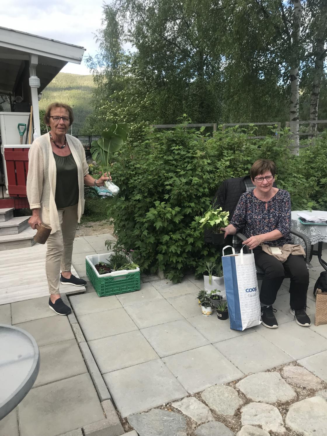 Auksjonarius Gro er klar med klubba!