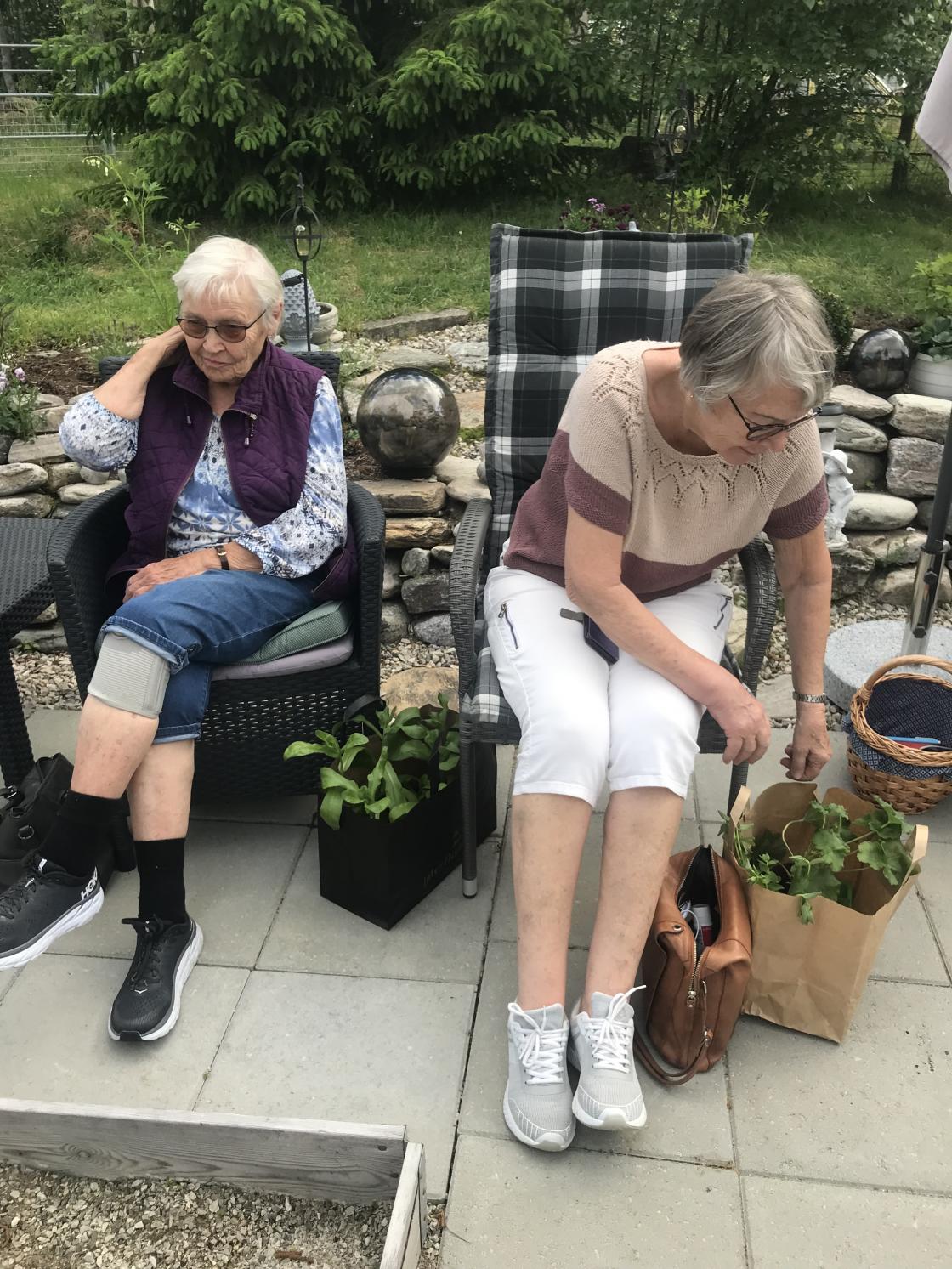 Avleggerne og damene er klare