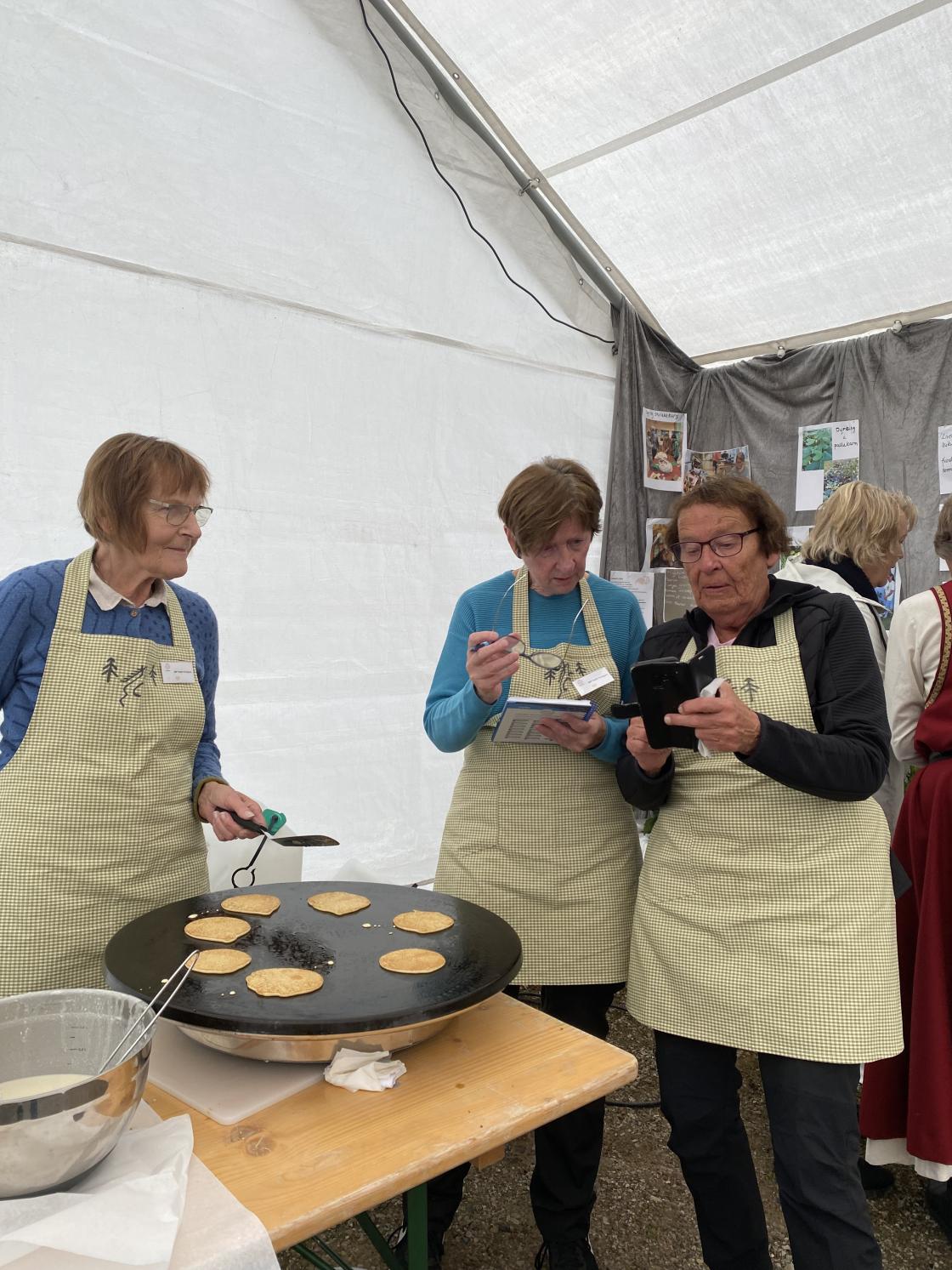 Steking og oppdatering på nettet