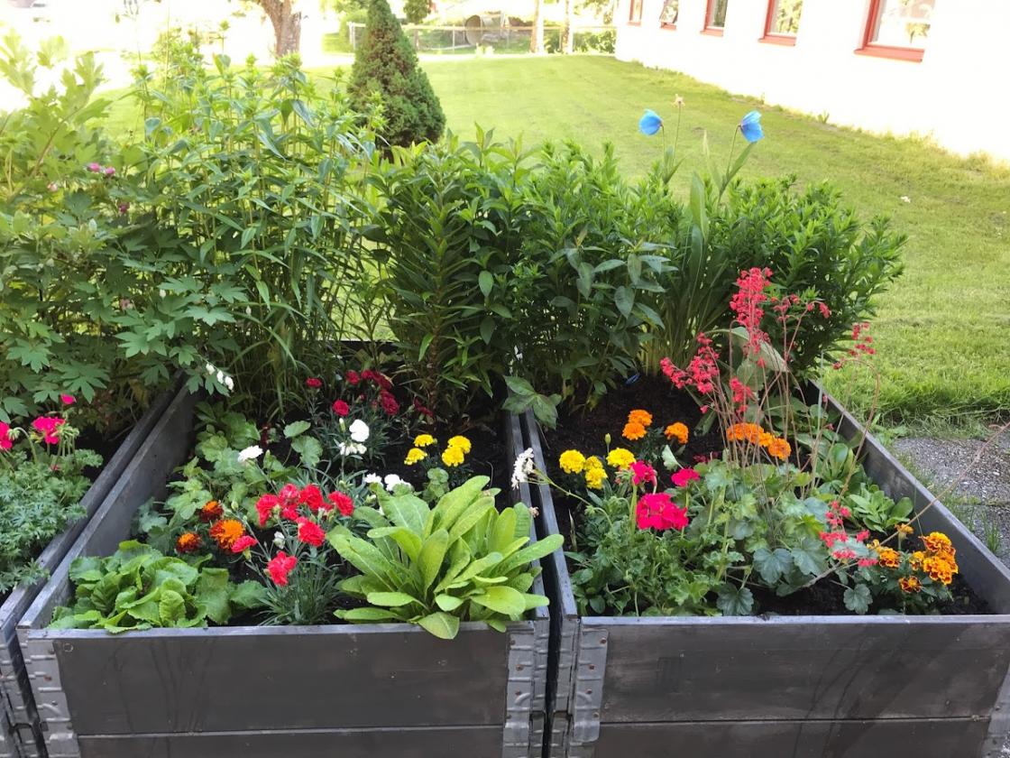 Pallekassene vart fine og fargerike !