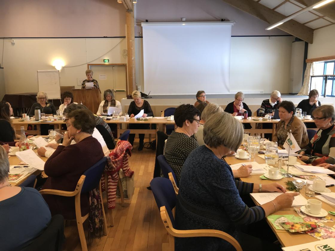 Delegater og styret i bakgrunnen.