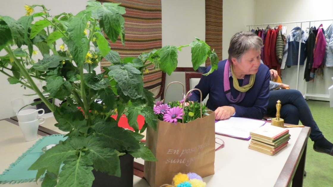 Fornøyd leder i selskap med en velvoksen tomatplante som ble loddet ut