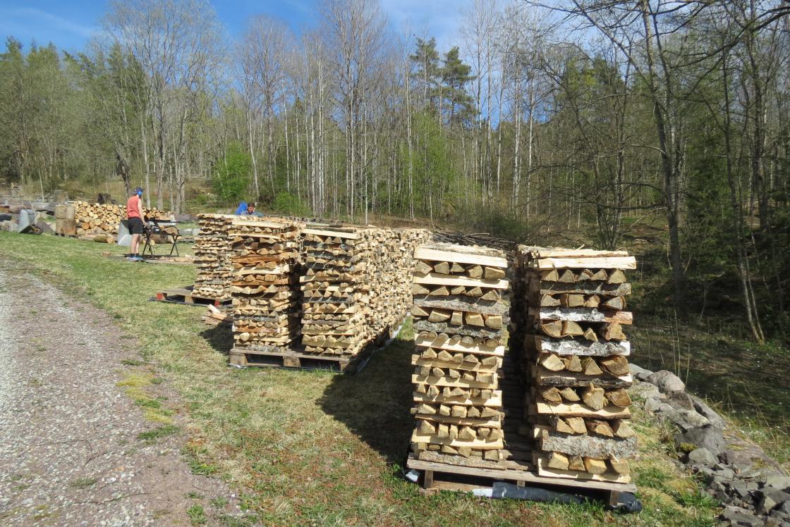 Vakkert vær til vedsjau