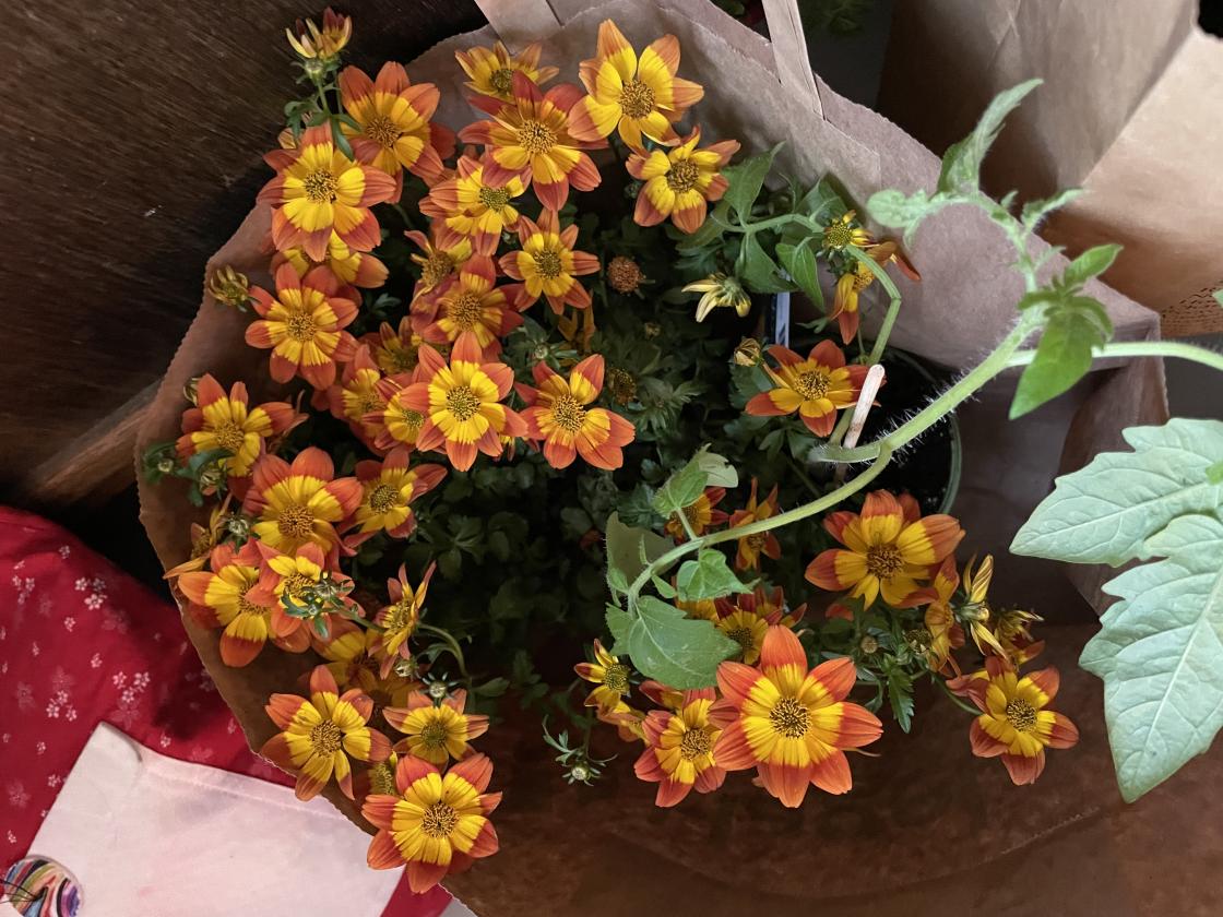 Mye fint å ta lodd på.