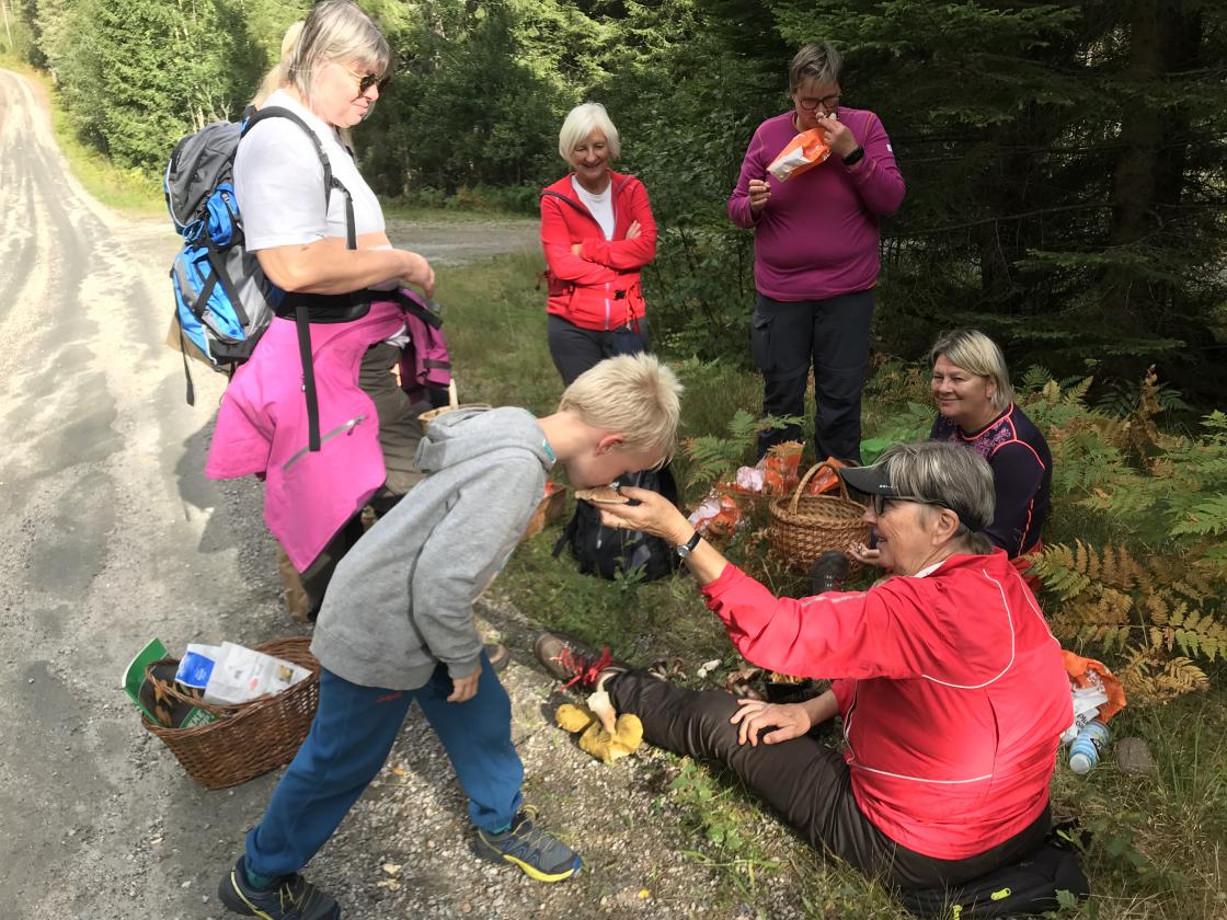 En metode for bestemme type sopp er lukta