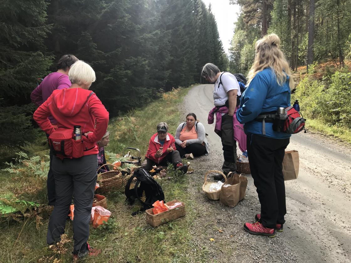 Ingrid Reiten gikk gjennom alle kurvene og forklarte