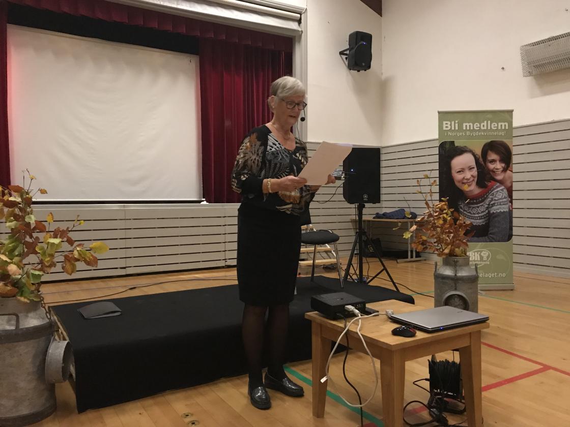 Målfrid Bølset; resymé over lagets aktiviteter og møter