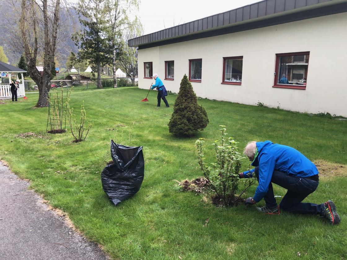 Bærbuskene får godt stell av Oddbjørn!