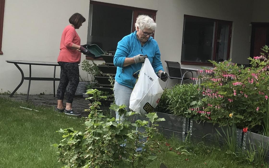 Bjørg og Else konsentrerer seg om planting!