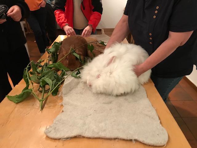 Vigdis hadde med seg noen flotte kaniner foto: Trine Evensen