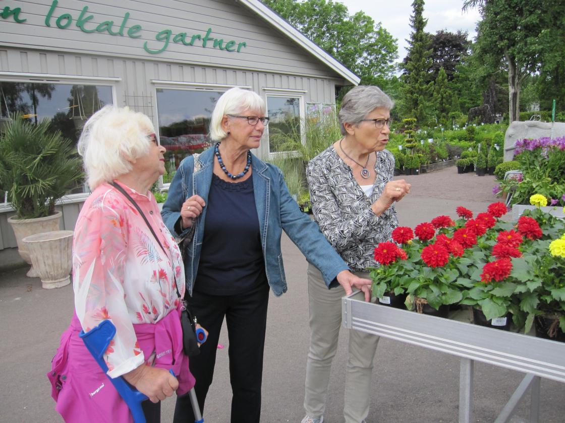 Damene beundrer blomstene