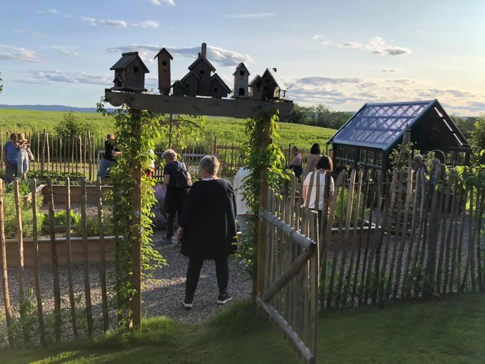 Den nye kjøkkenhagen