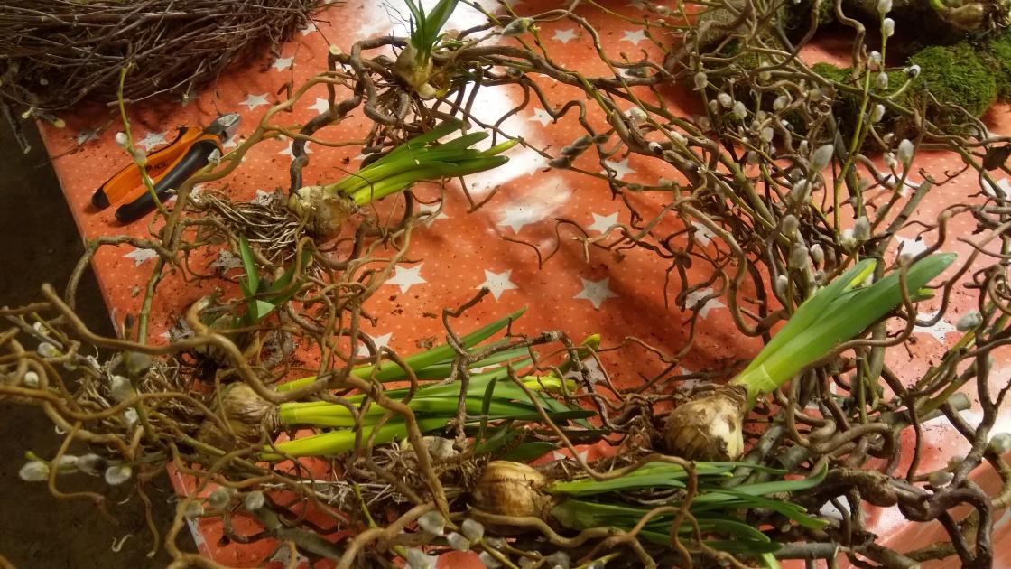 Vrihassel, gåsunger og løkblomster