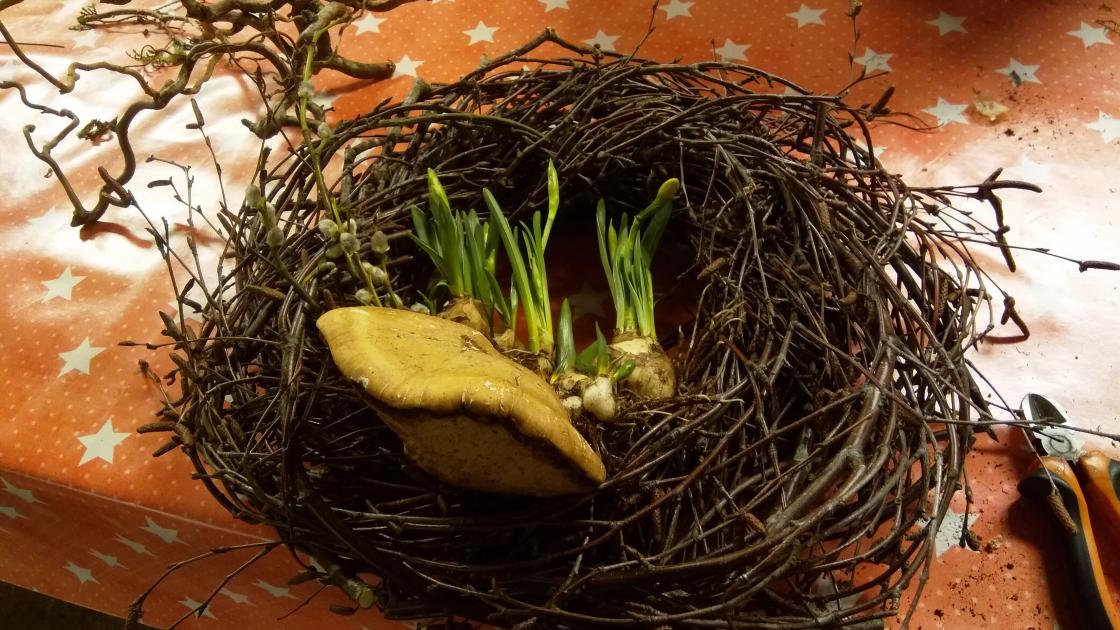 I slutten av denne artikkelen viser Gro Wiktorin hvordan hun binder de vakreste julekransene. Foto: Privat.