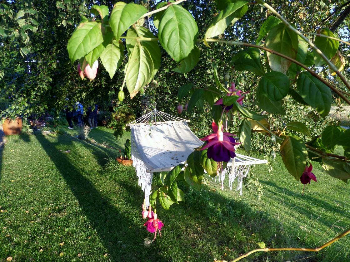 Hengekøya - blir nok ikke mye brukt!