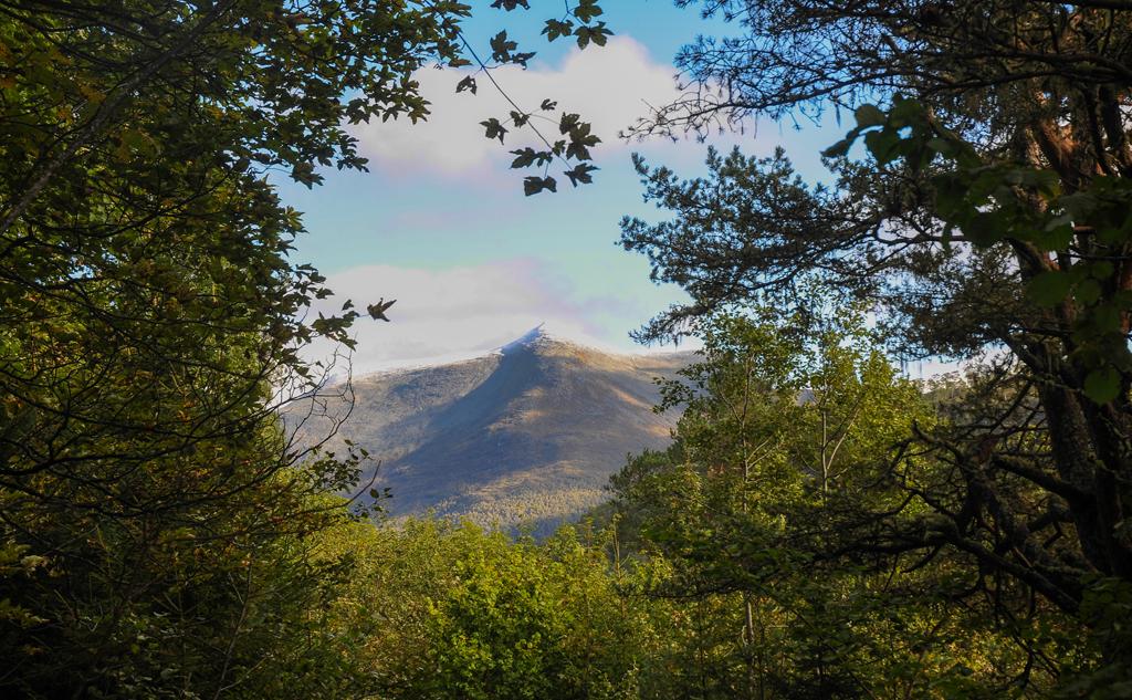 Fjelltopp mellom igjengrodde stier