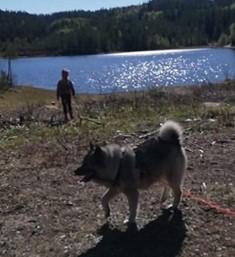 Alle må med - disse turene passer for både to- og firbente