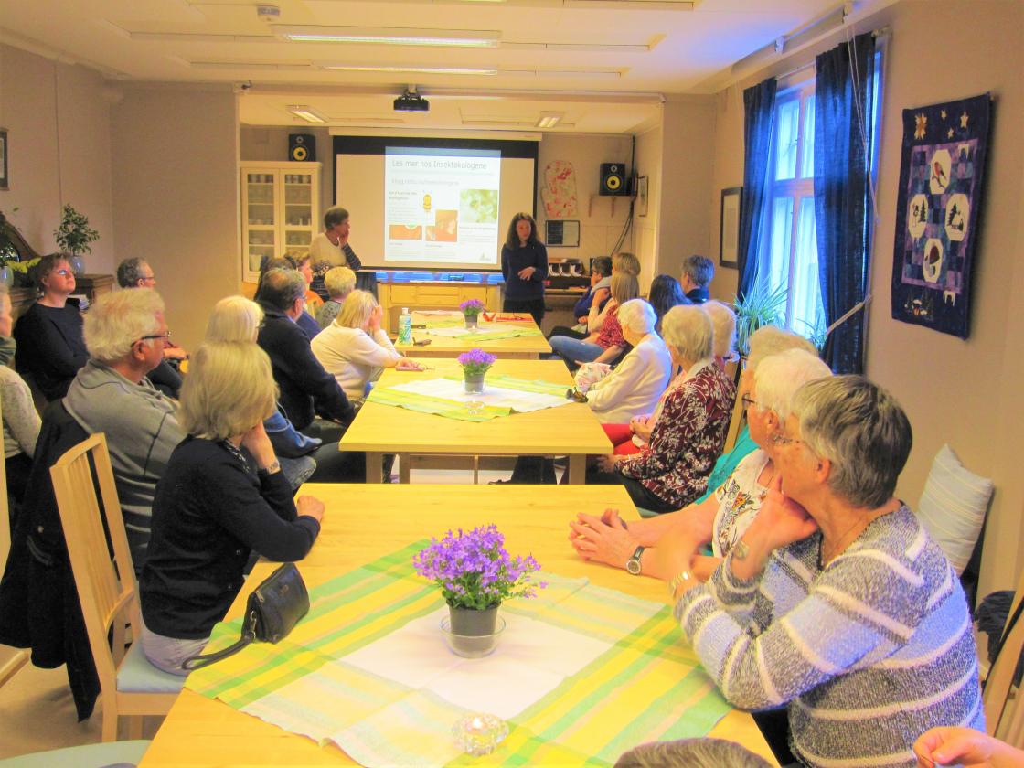 Tema Bier og Humler engasjerte