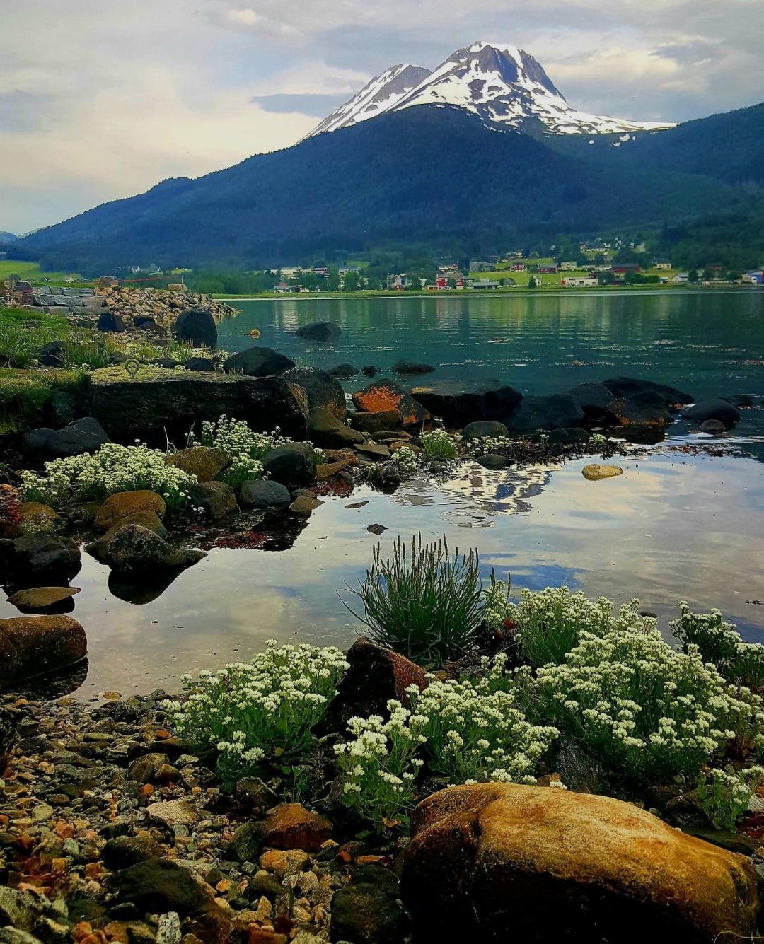 Tresfjorden Bygdekvinnelag