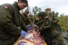 Partering av dyr kan læres i forsvaret. Her parteres reinsdyr. Foto: Karelius Heitmann.