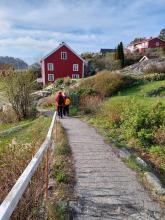Sommerhilsen fra en av gåturene til Holt Bygdekvinnelag som holder til i Agder. Foto: Holt Bygdekvinnelag 