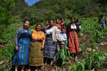 Småbønder i Guatemala kjemper for kaffens fremtid i Guatemala. Foto: Utviklingsfondet.